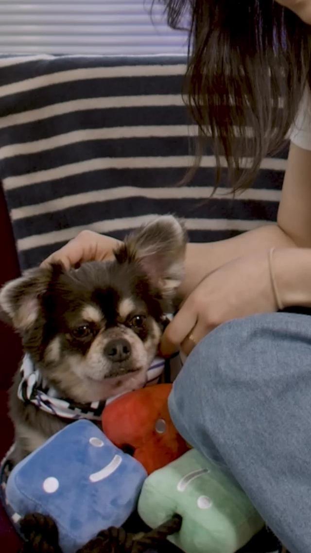 Faça a compra recorrente na Petlove!