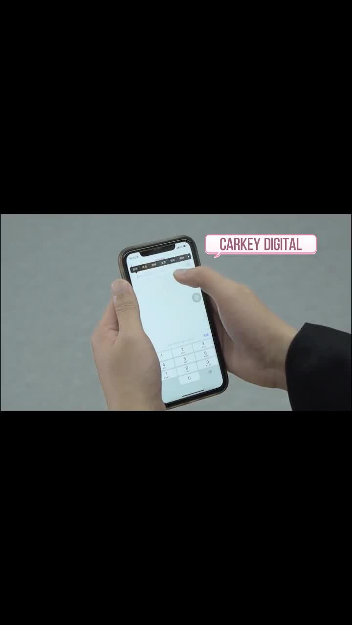Never worry about lost or forgotten keys again with app keeps you in control of your vehicle