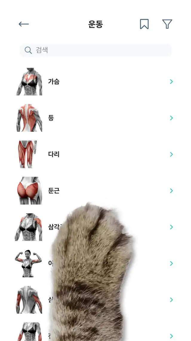 꿈 꿔온 몸을 만드세요