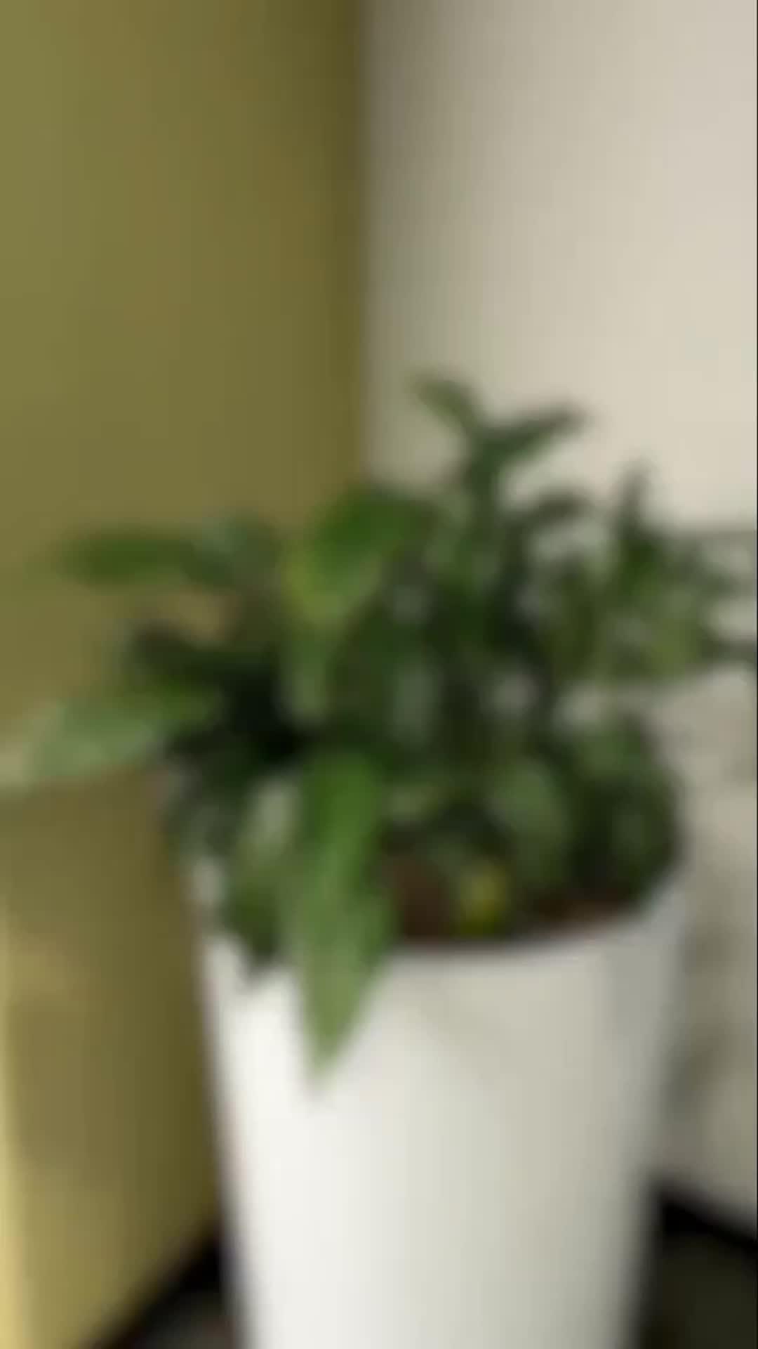 Install App And Transform Your Phone Into Portable Scanner