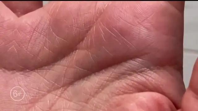 FREE Daily Horoscope, Biorhythm & Birth Chart Analysis. Live Palm Readings, Face Readings and more!