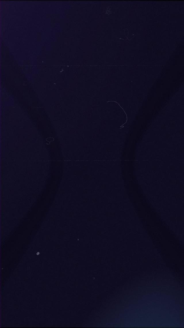 Find Your Party. Download NOW!