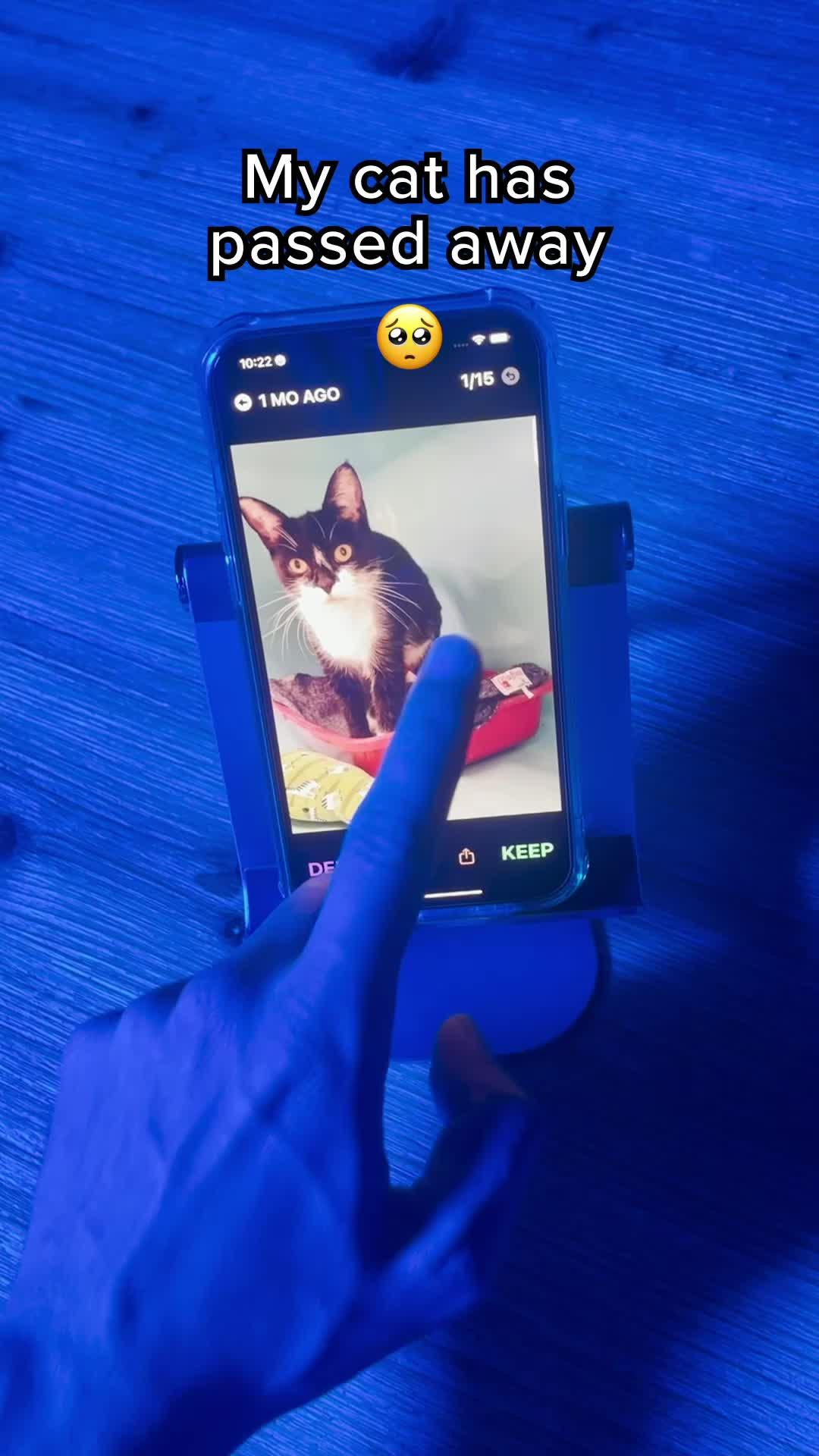 #fyp #swipewipe #cameraroll #springclean #phonehacks #camerarollswipe #iphonestorage