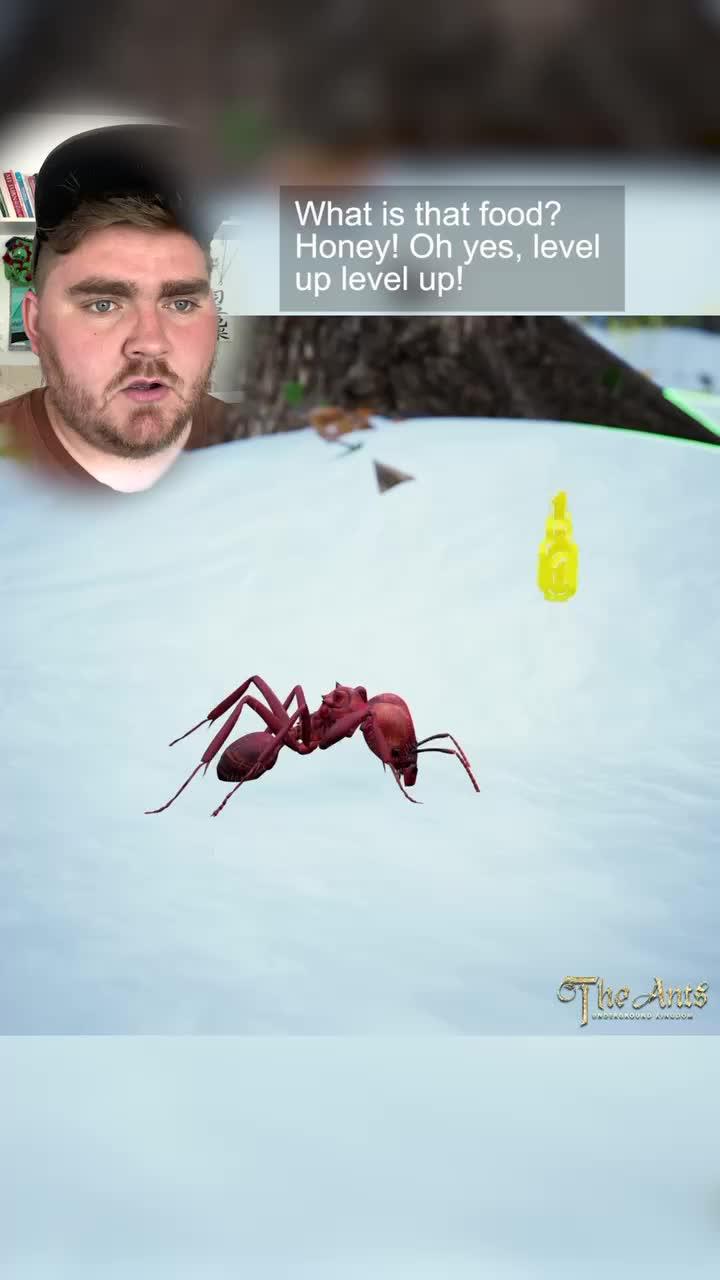 Join The Ants and start your legend!