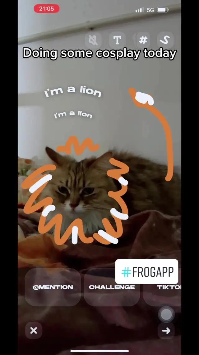 Kitties are doing some cosplay today#frogapp #doodle #viral #fyp #fypage #foryourpage #catsoftiktok