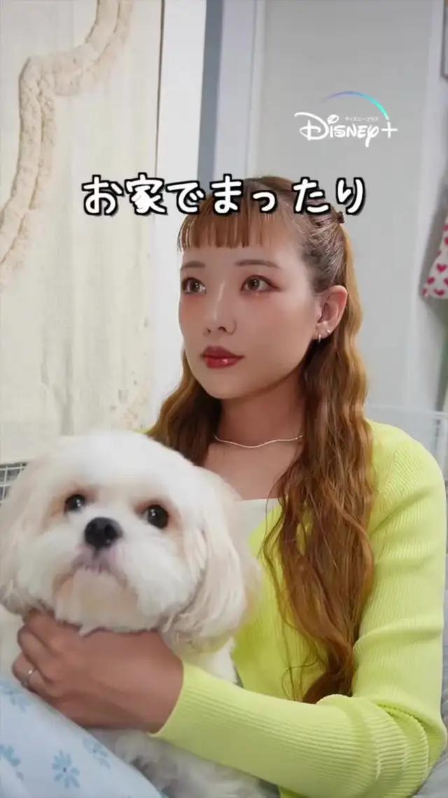 ディズニープラスでしか観れない作品を楽しもう！