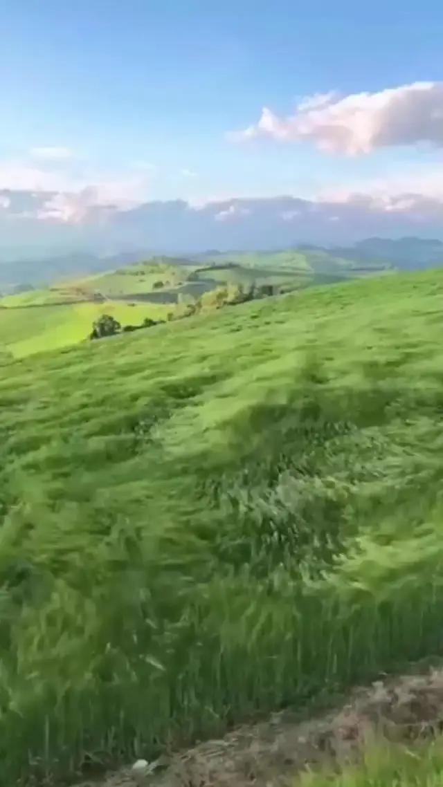 الليل الأسود⁺ هي لعبة هاتف أصلية جديدة وحصرية على الإنترنت! تعال واستمتع بالتجربة