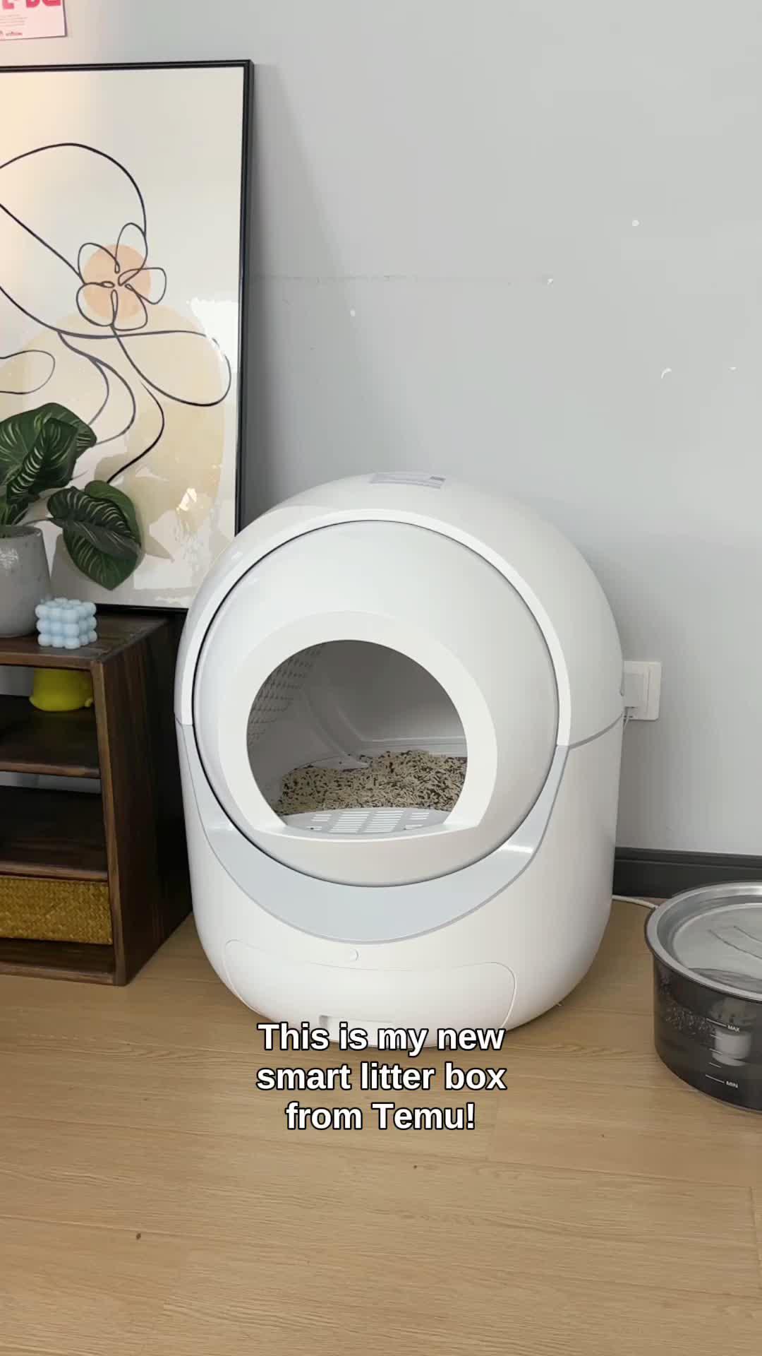 💥 Price Drop Alert 💥