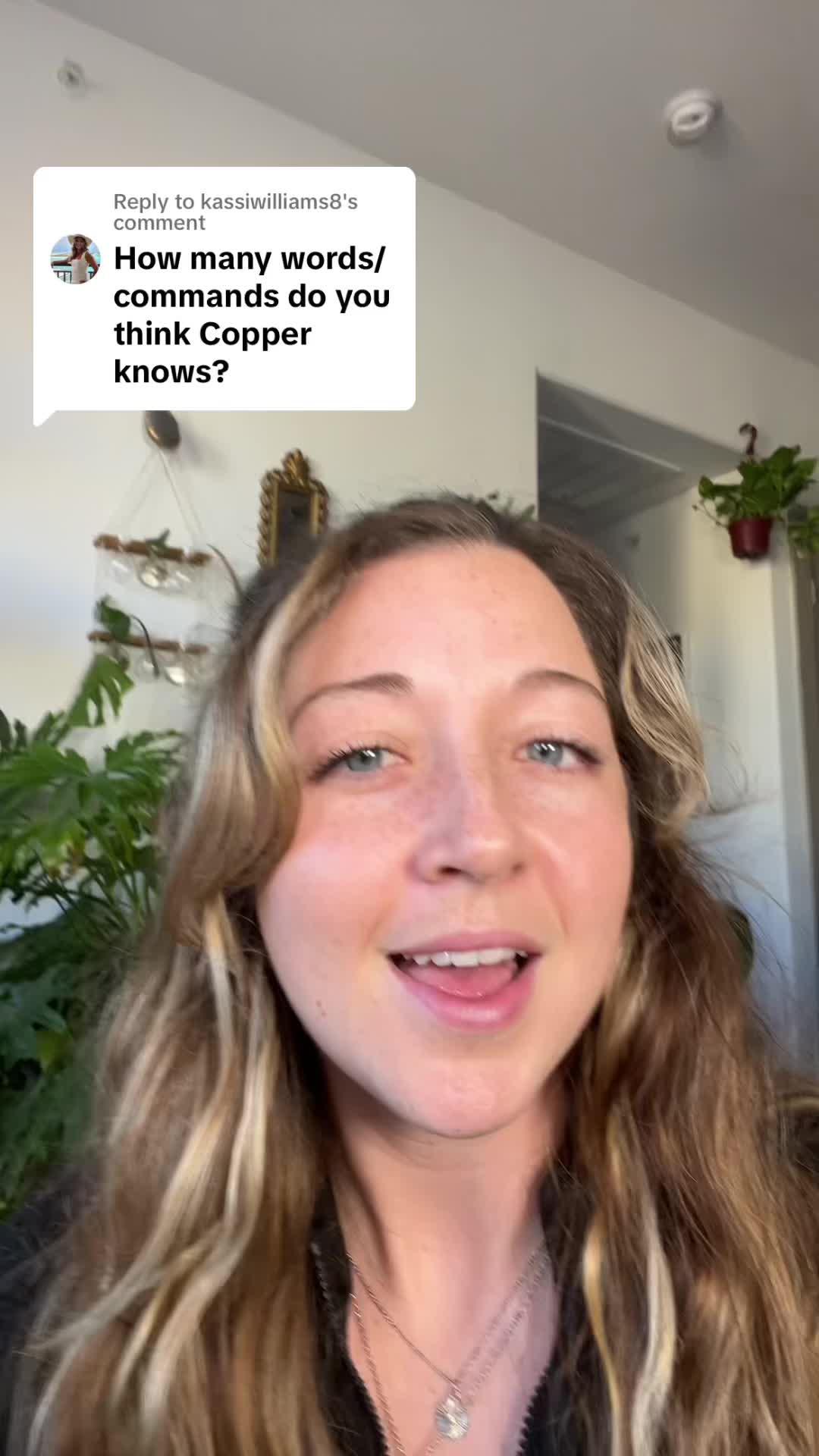 The best dog training app for your flurry friend!