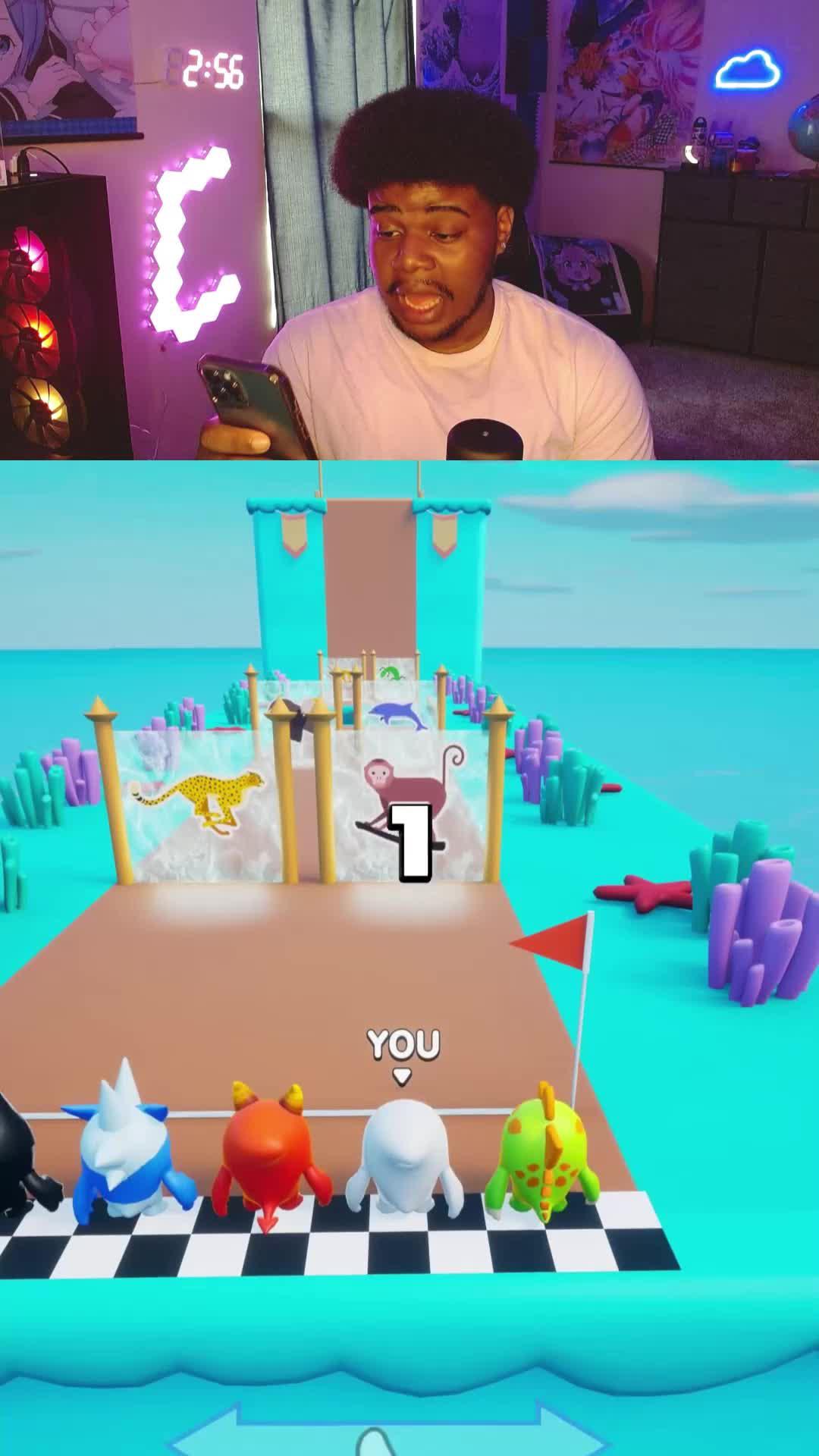 Join the race on Pocket Champs!