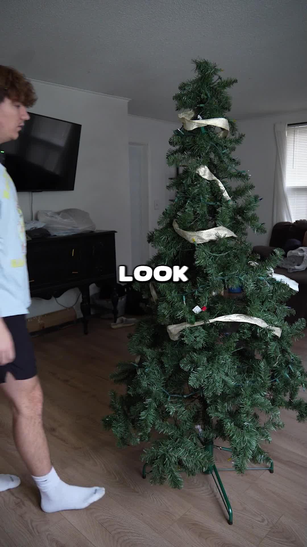 Download NOW for FREE!