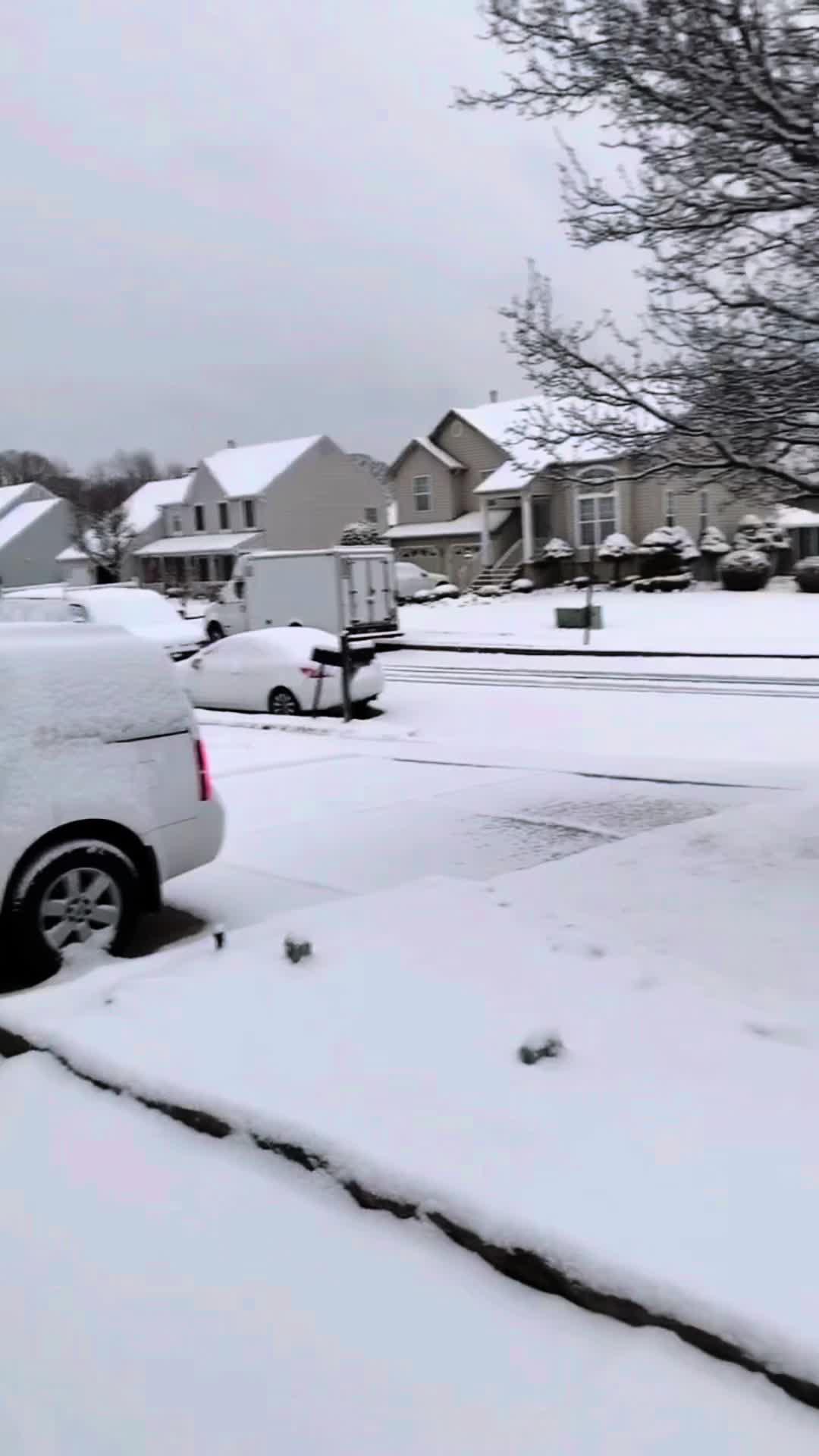 Surviving ain't easy, but you gotta lead survivors and rebuild civilization. Are you up for it?