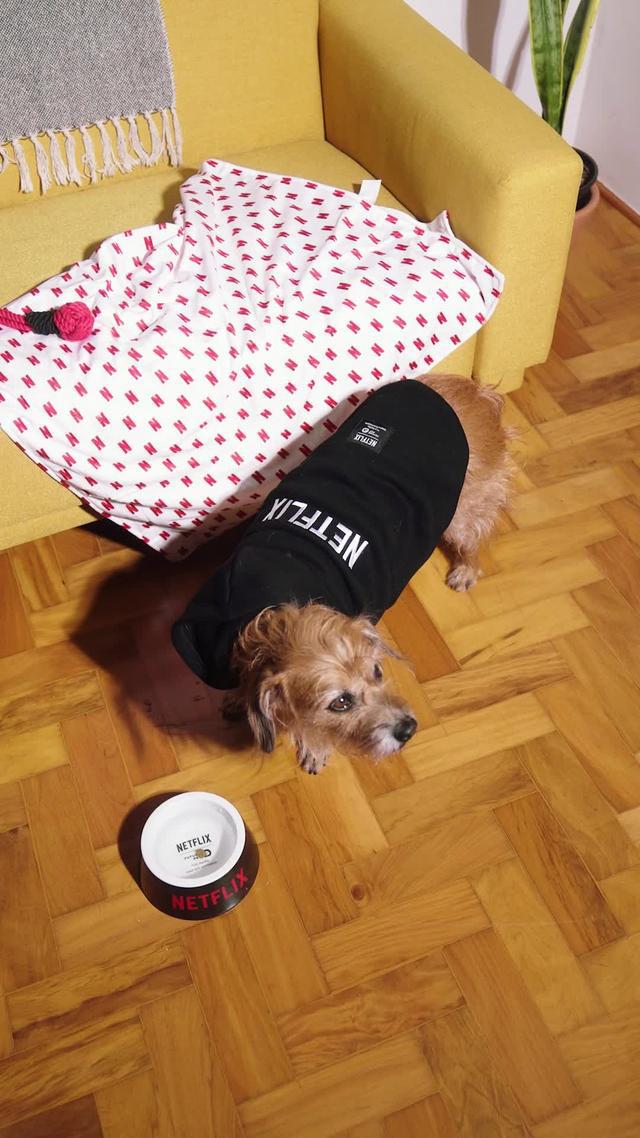 O moletom perfeito para uma maratona de passeios na pracinha! Confira nosso site. 