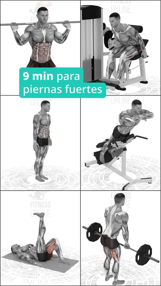Entrenamientos efectivos. Logra la mejor versión de ti mismo
