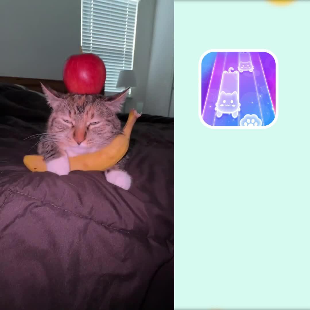 50,000,000+ players around the world have played this music game!