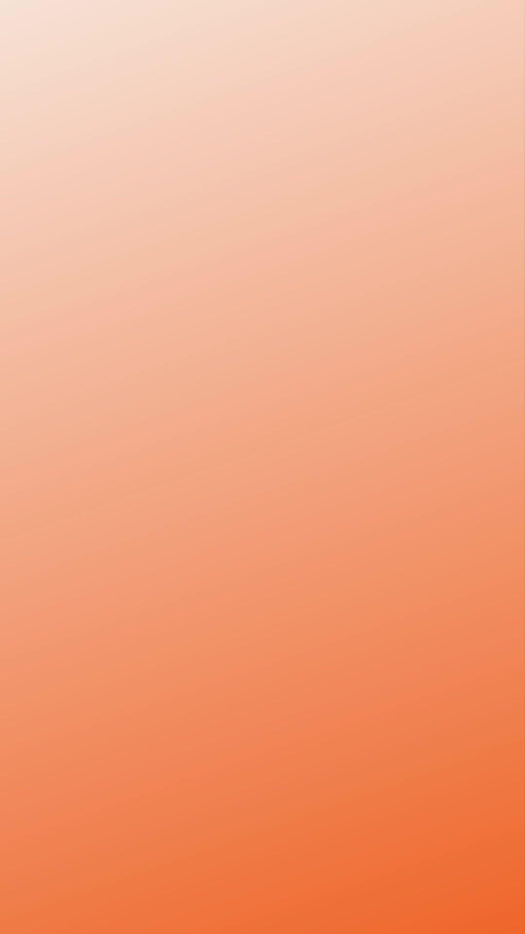 では24時間配信される金融ニュース、遅延のないリアルタイム株価、最先端のチャートと分析ツールが使えます