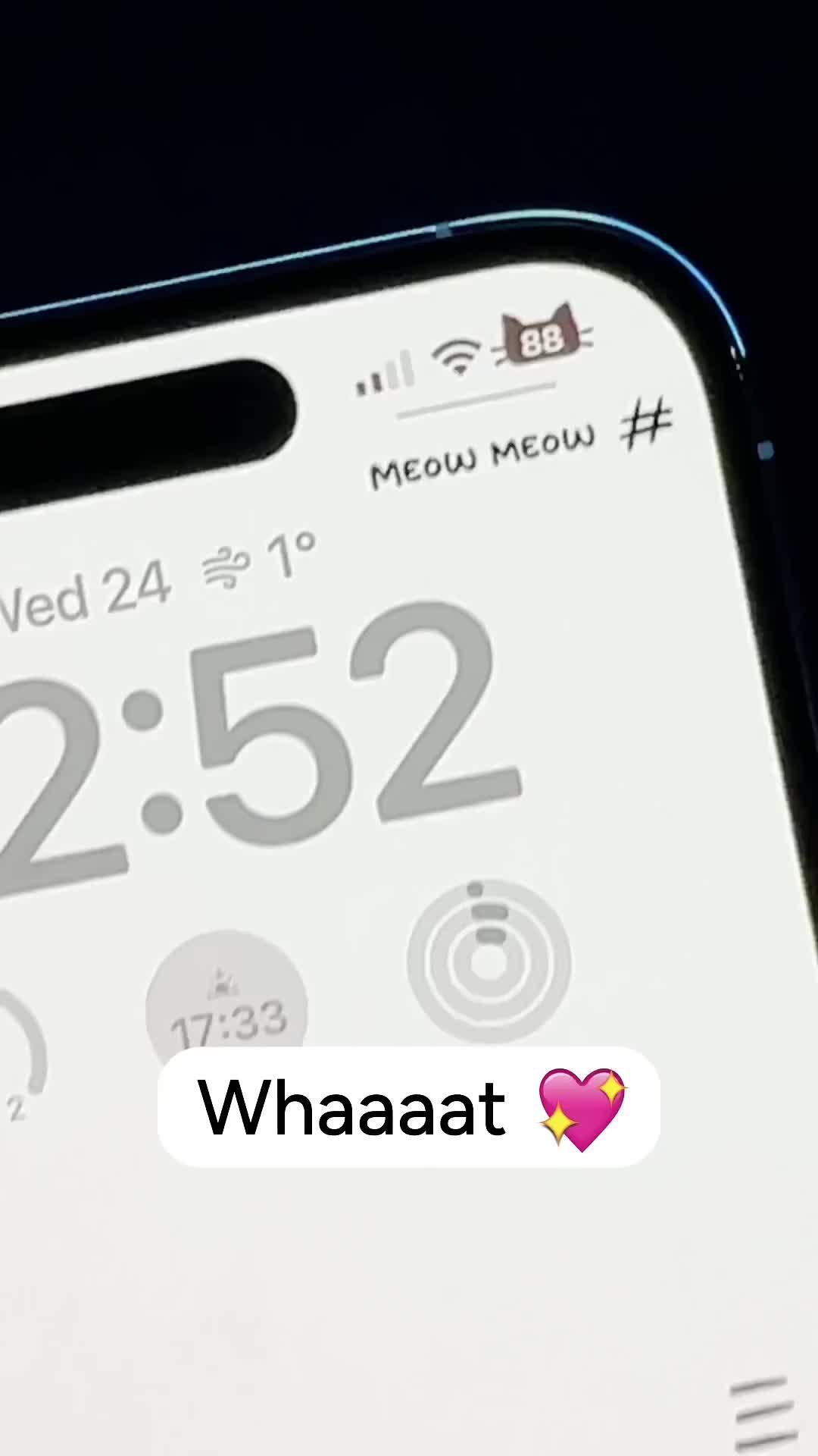 Cute Dynamic Animals Widget