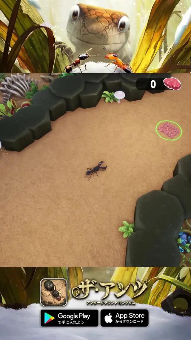 アント王国を支配する：戦場での勝利。