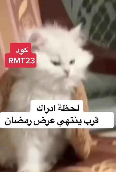 استفيد من خصم ستين بالمية وتعلم اللغة طووول السنة بأوفر سعر!💰