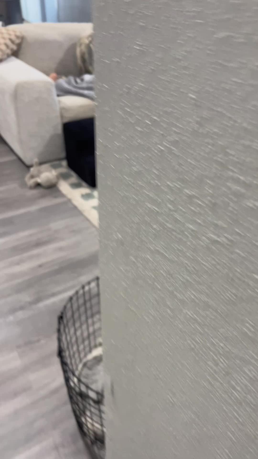 Voice chat and make new friends with real!