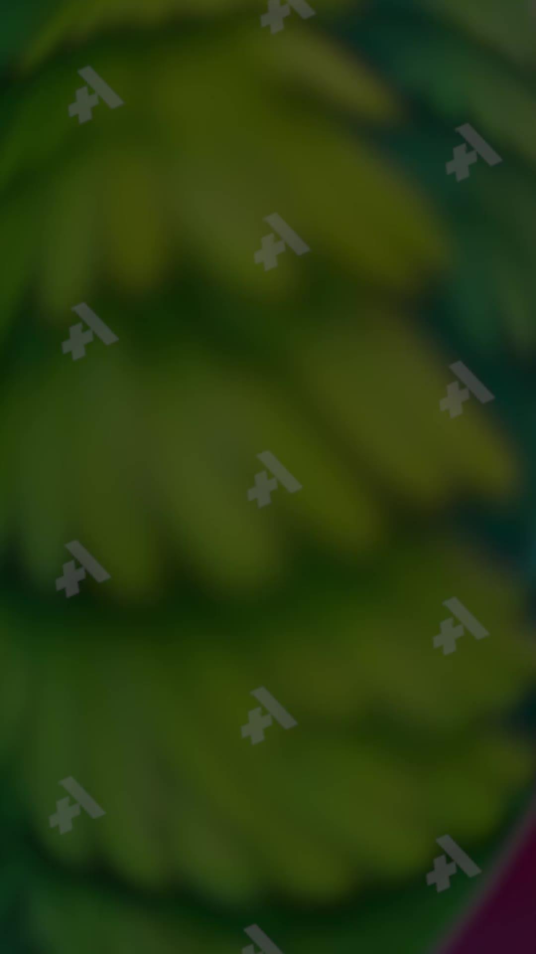 Build your dream family