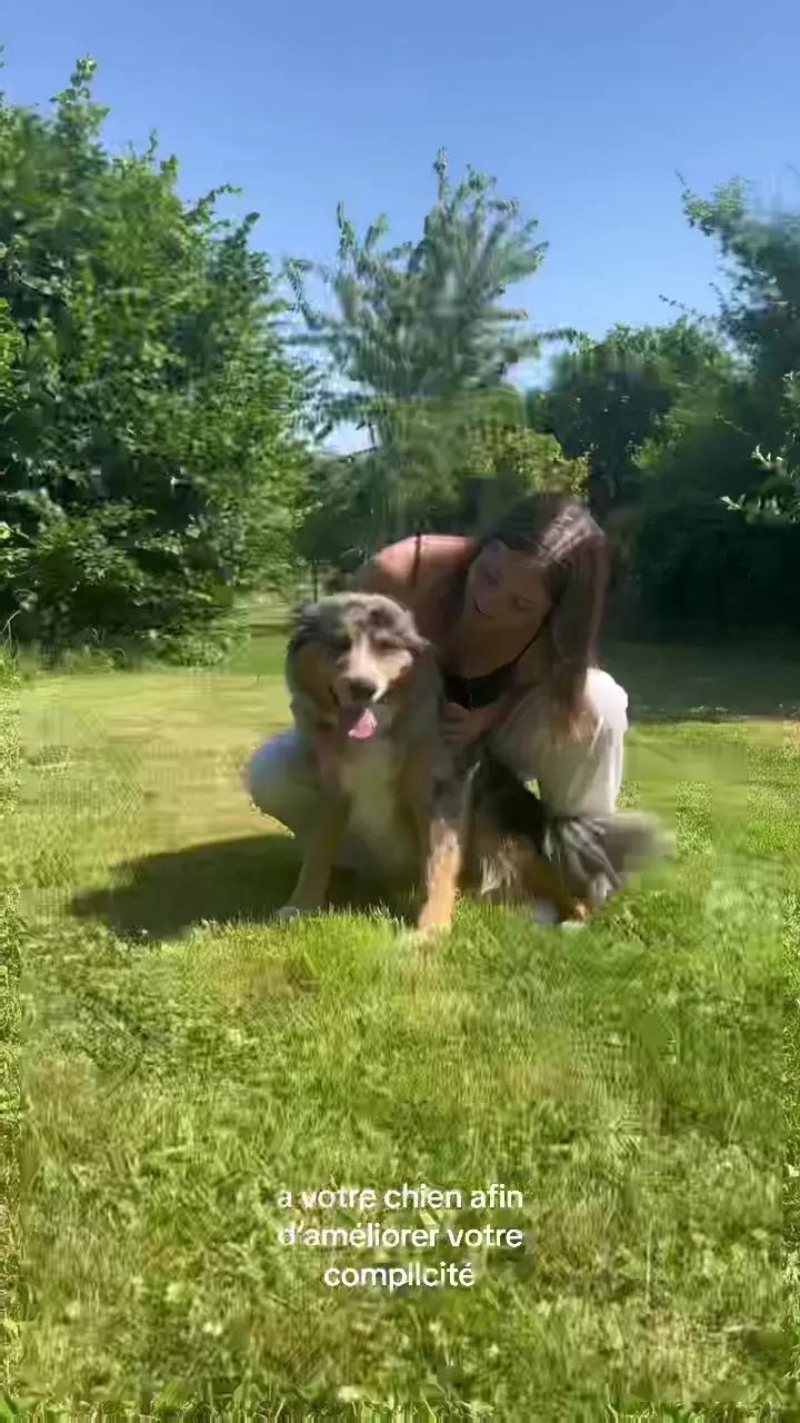 Hundeo c’est un appli idéale pour toi et ton chien 🐾 #hundeoapp