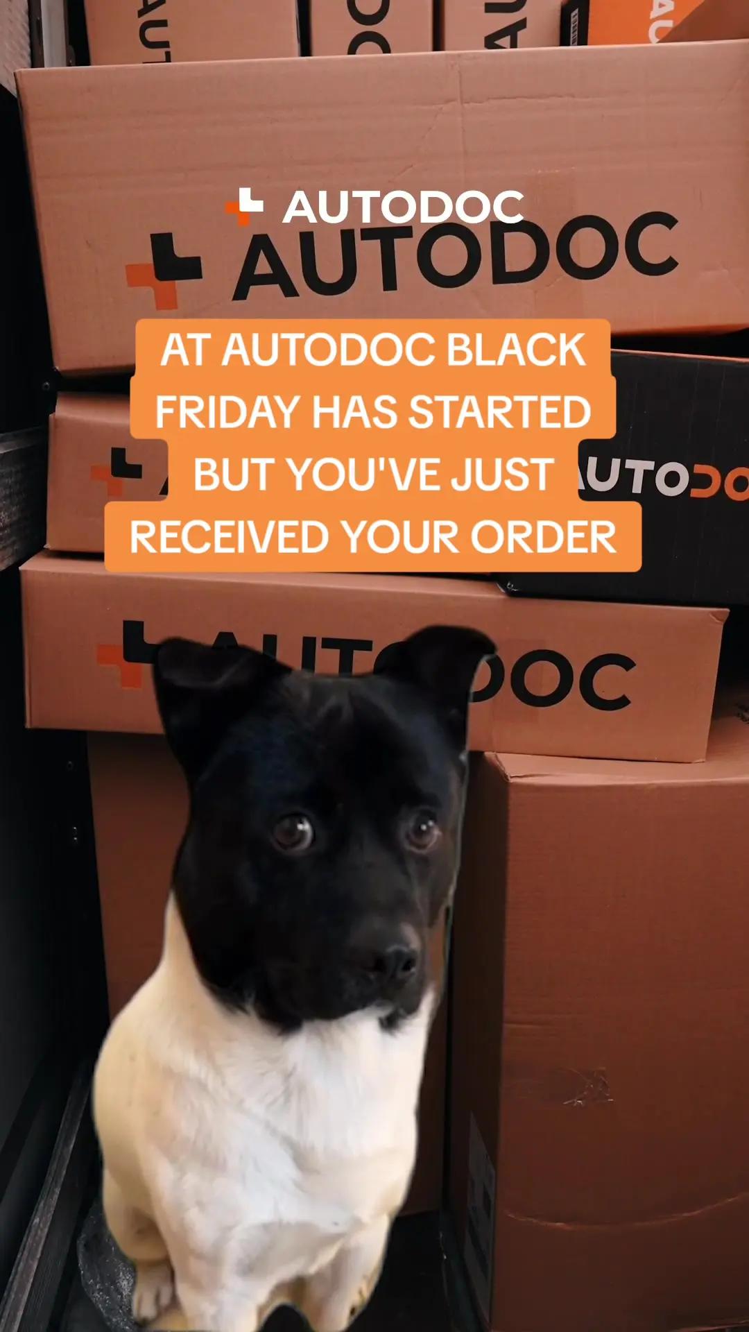 🚨 Black Friday at AUTODOC
 Super sale
 ⚡ Discounts of up to 47%
 You will find everything you need in the AUTODOC mobile app! 🔥📲
 ______________________________
 Use the active link in our bio🔝
 #autodoc #autoservice #autoparts #carparts #carmechanic #girlmechanic #carsoftiktok #autohack #carrepair
 #autorepair #diy #tools #carhacks #autoadvice #carmaintenance #cartips #DIYauto #carfix #mechanictips
 #autoDIY #autotutorials #tutorials #fyp #top #viral #blackfriday #wishlist #blackfridaysales #shopping #sales
 #shopnow #deals 