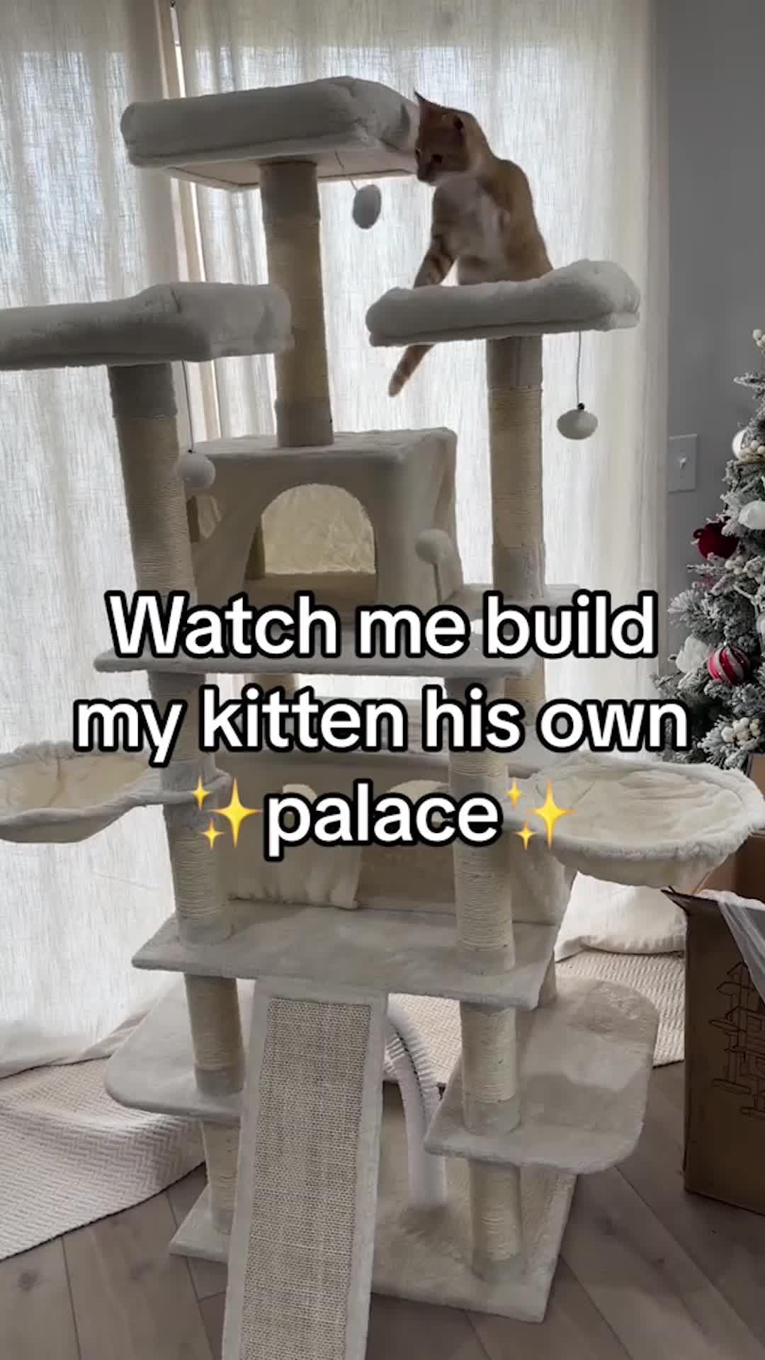 Pawsitively purrfect gift for our furry friends! 🐾 Because every wag and purr deserves to be celebrated. 🎁💕 #FurryLove #PetGifts #CherishedMoments #PetsOverEverything