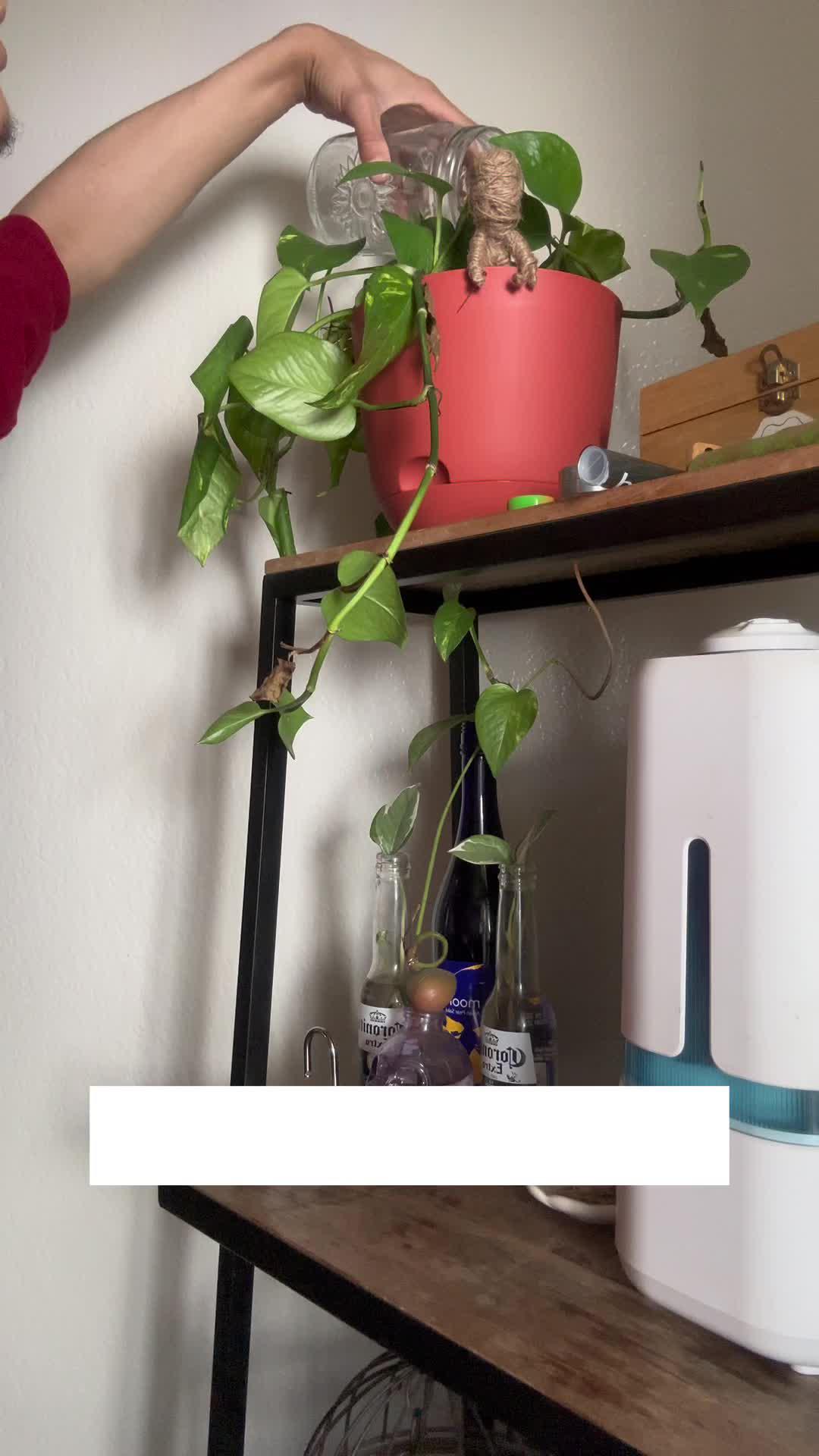 Create routines tailored to your lifestyle, you can make your pleasant every day！