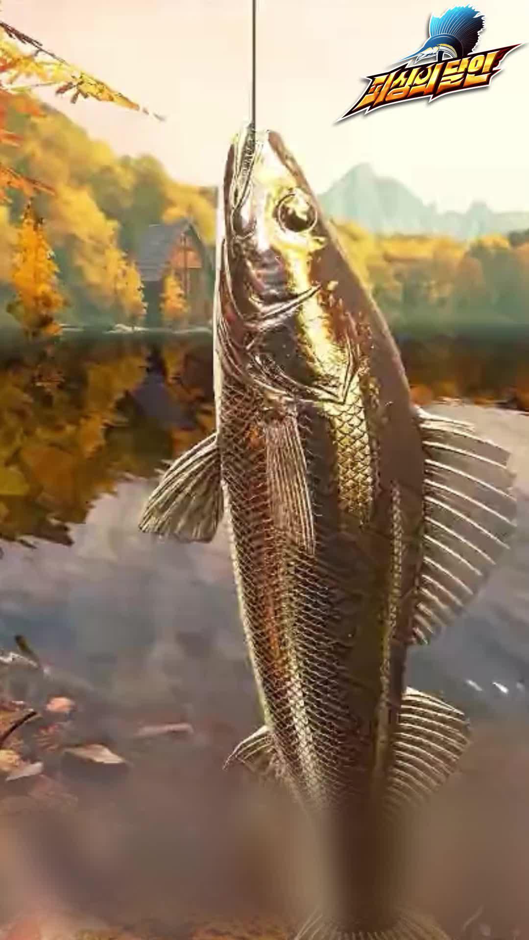 현실을 넘나드는 극한의 리얼리즘(리얼리티)