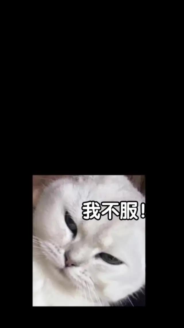 一鍵掛機升級，超高爆率中神將，就要你爽