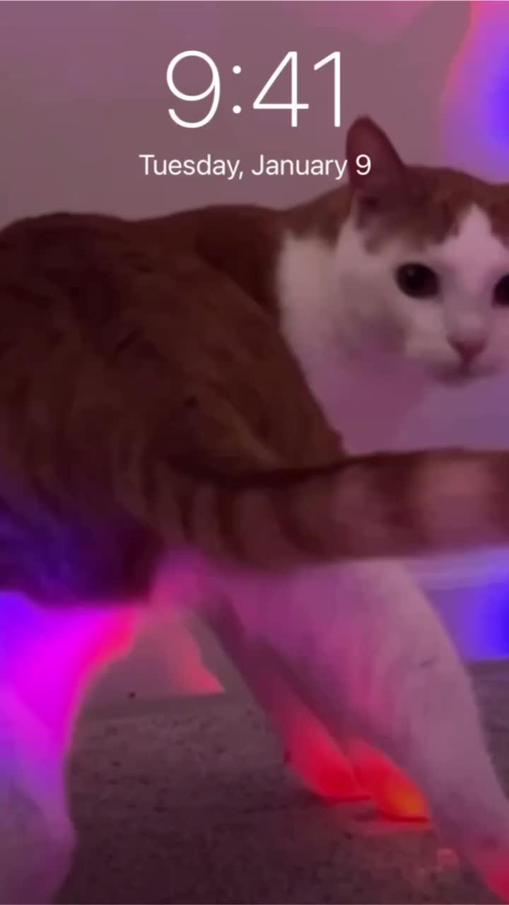 One tap change your wallpaper!!!