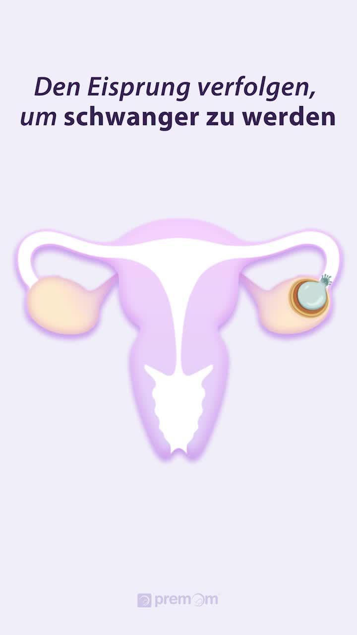 Erhöht Ihre Chance auf eine Schwangerschaft