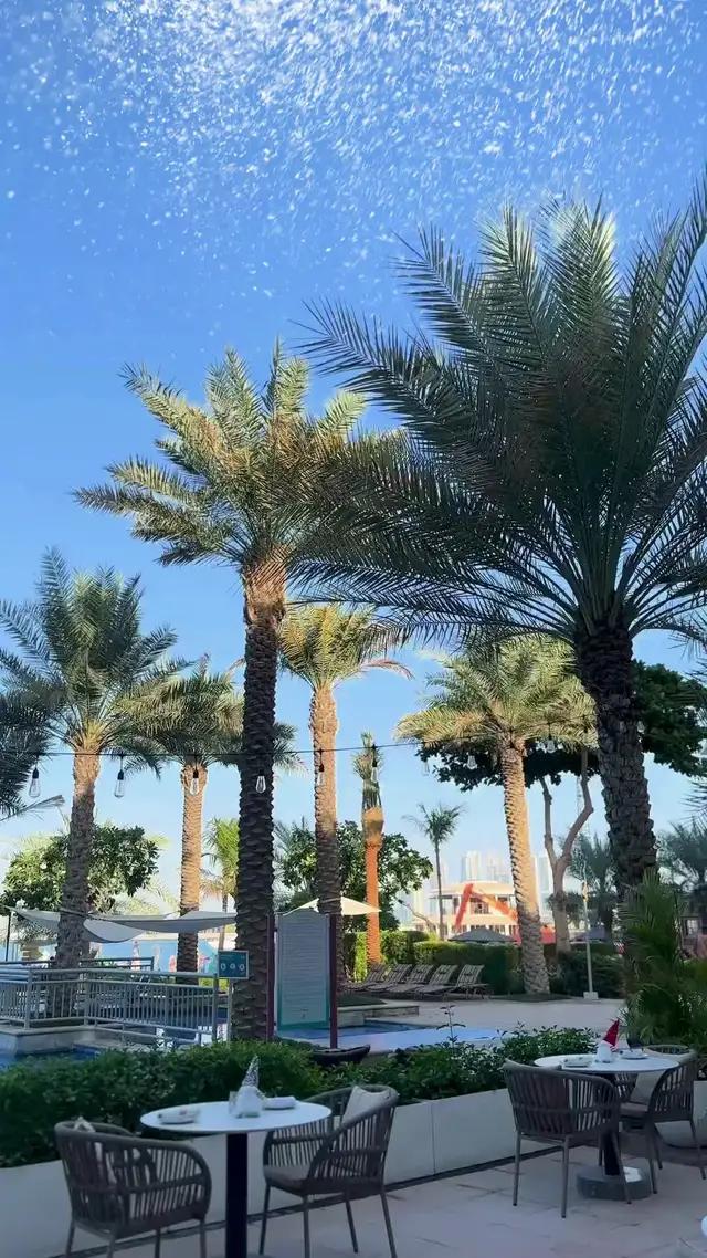 Get 18% cashback at Peaches & Cream with mimojo!