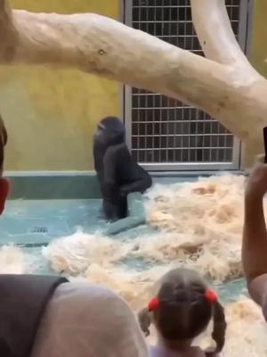 Set exclusive widgets & themes for your Phone