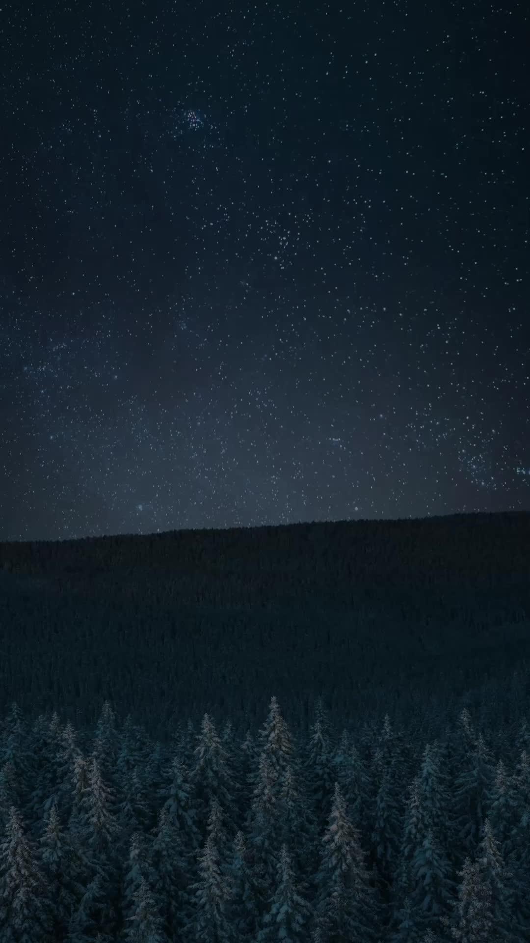 クオリティーワードゲーム