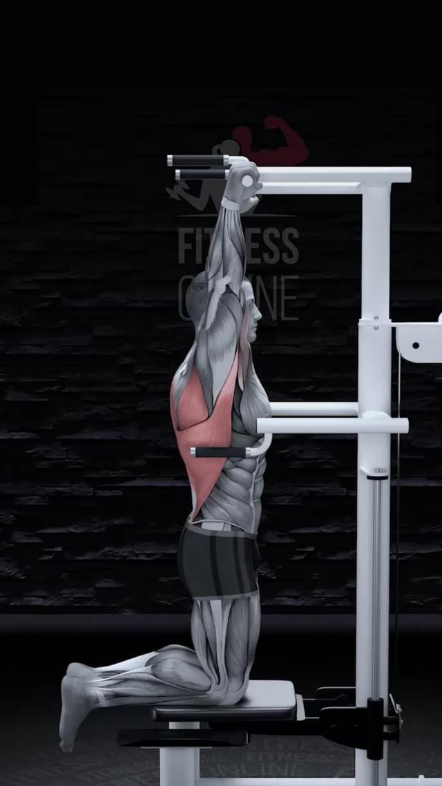 Effektive Workouts. Werde die beste Version deiner selbst