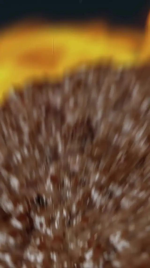 Comida rica, entrega rápida