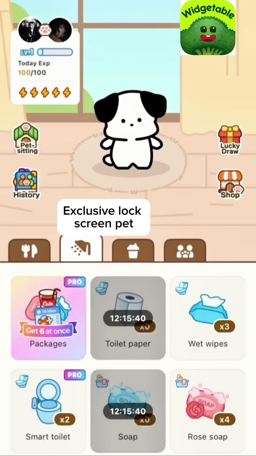 Raise a pet on your phone