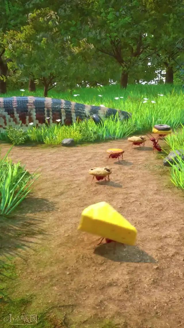 開戰螞蟻王國！！！
