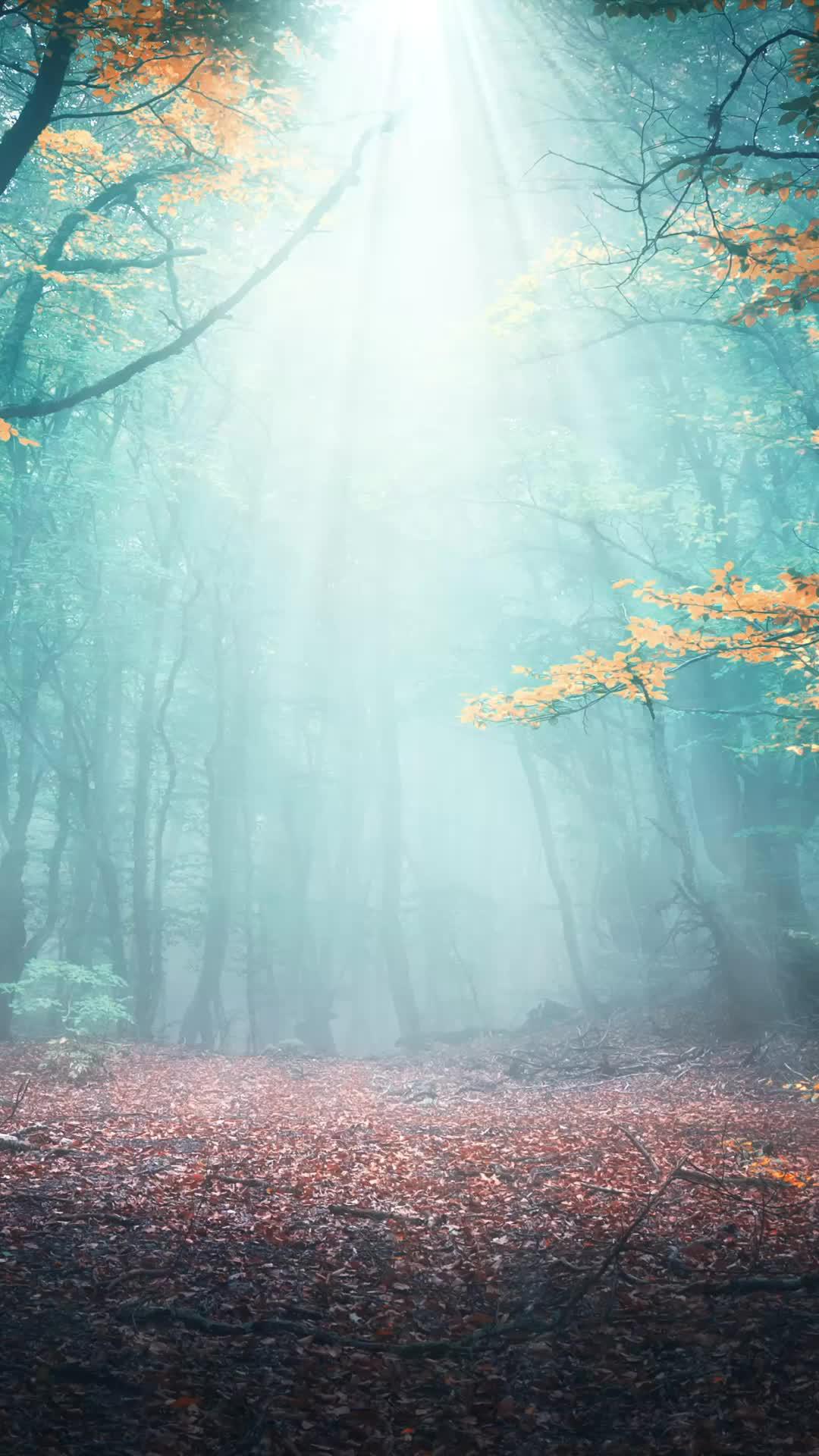 The Ultimate Calming Word Game