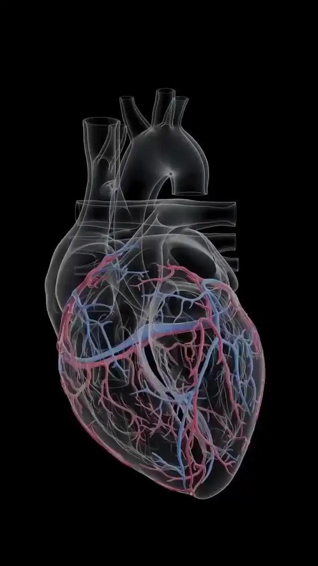 Easy way to measure your heart rate.