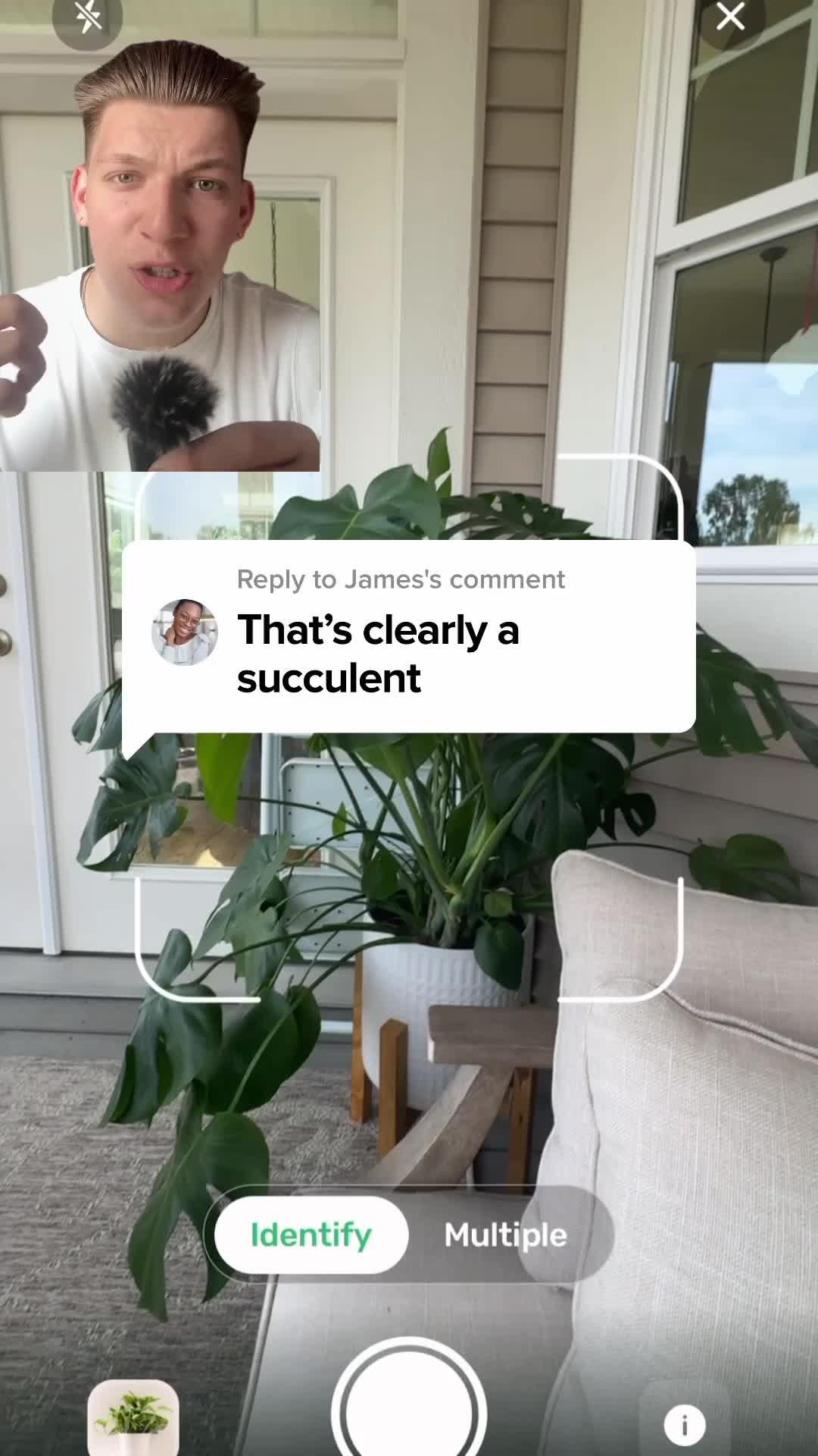 Identify plants and diseases.  Get complete plant information and personal care plans.