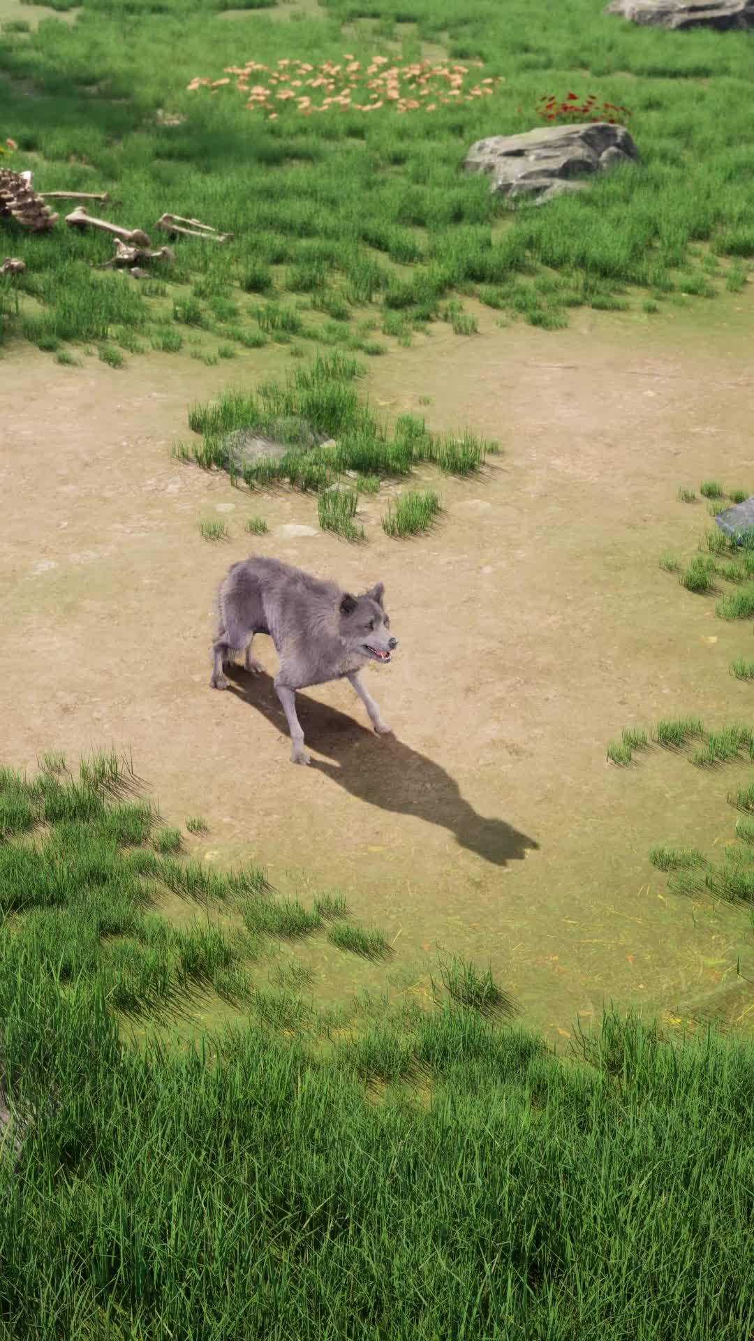 【WOLFREWARD777】Get 100 Free draws now！