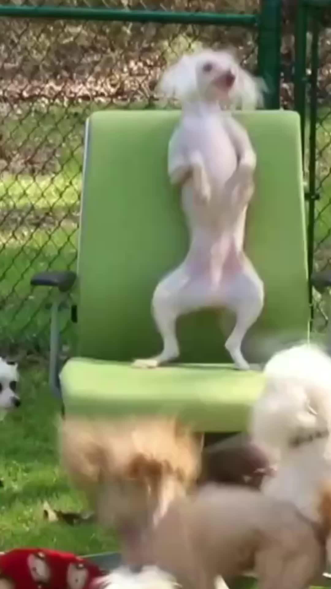 Local news without expenses! Stay informed, no pocket.