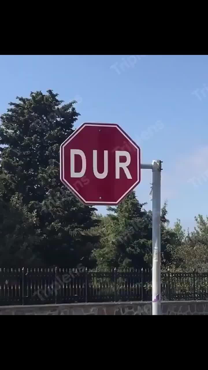 ترجمة مجانية للصور والنصوص والصوت!