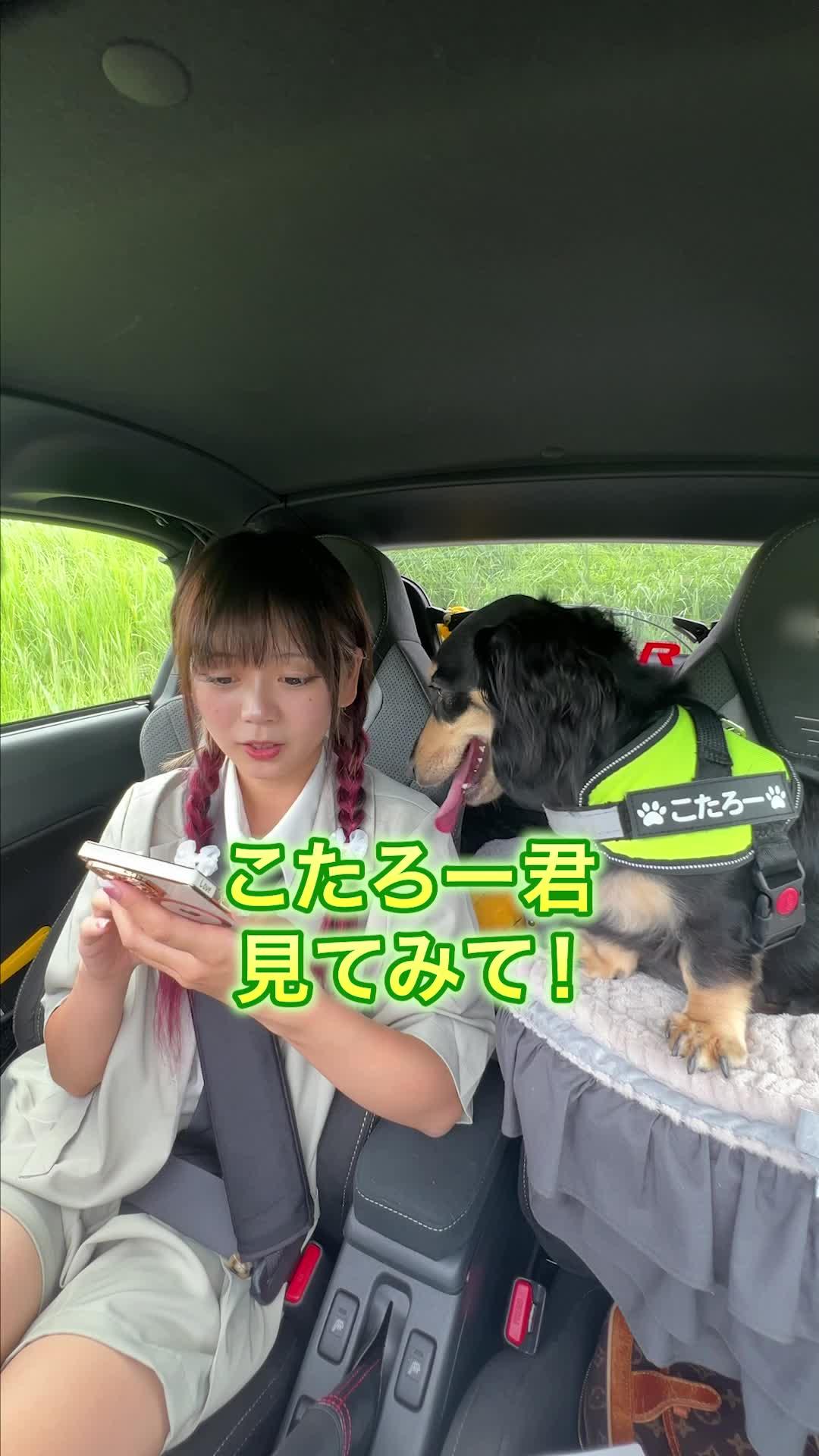 理想のマイカー探しなら、グーネット！ #PR #グーネット