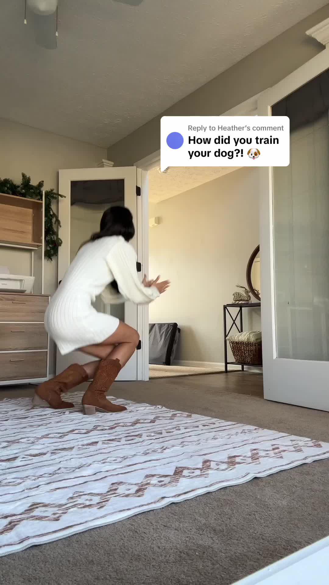 Start training your dog like a pro!