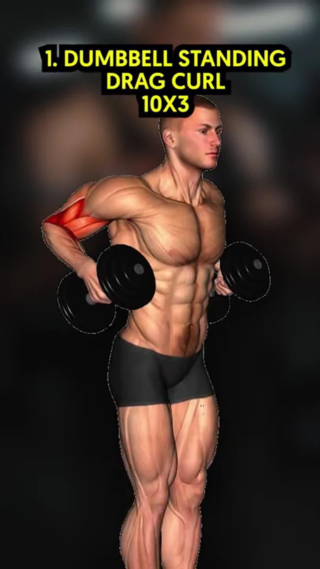 Easy Muscle is a workout application designed for fitness enthusiasts.