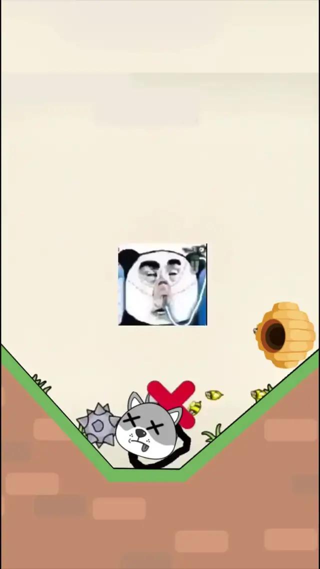 Os cães estão em perigo agora, venha salvá-los! 